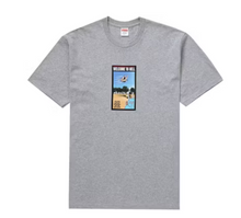 Load image into Gallery viewer, Supreme Toy Machine Welcome To Hell Tee &quot;Heather Grey&quot;
