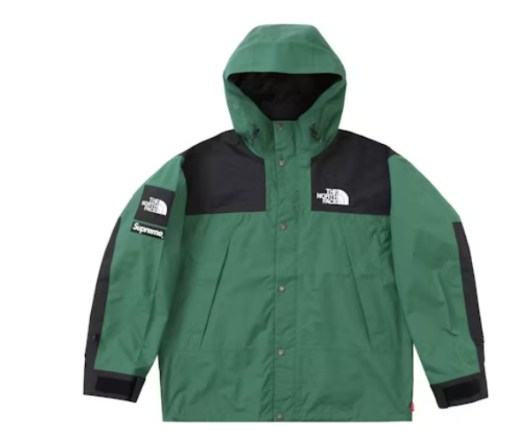 Supreme The North Face Mountain Jacket 