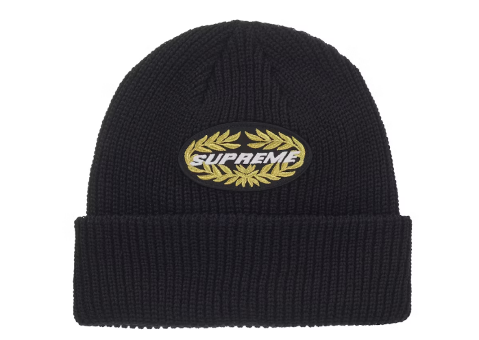 Supreme Terminal Beanie 