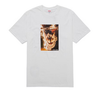 Load image into Gallery viewer, Supreme Spitfire Flag Tee "White"
